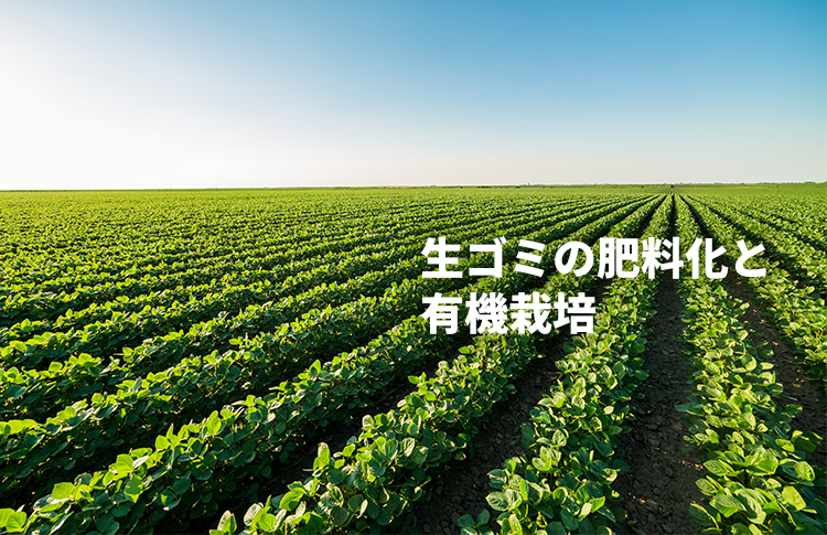 生ゴミの肥料化と有機栽培